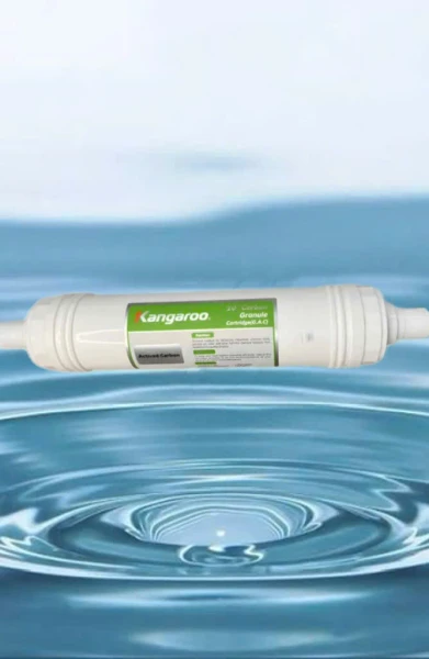 Lõi 2 Kangaroo đấu nhanh