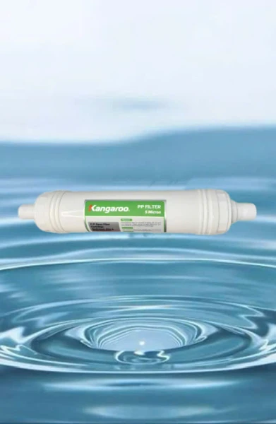 Lõi 1 Kangaroo đấu nhanh