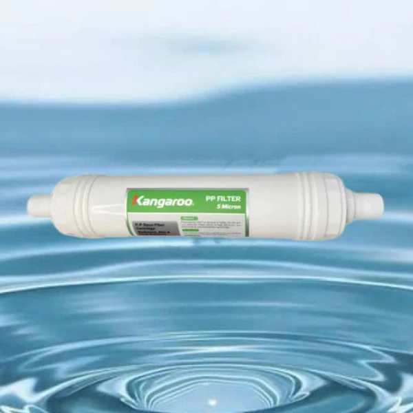 Lõi 1 Kangaroo đấu nhanh