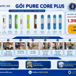 PURE CORE PLUS