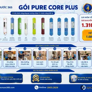 PURE CORE PLUS