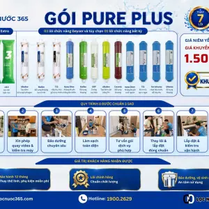 PURE PLUS